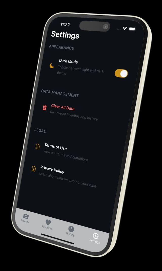 Settings with theme options